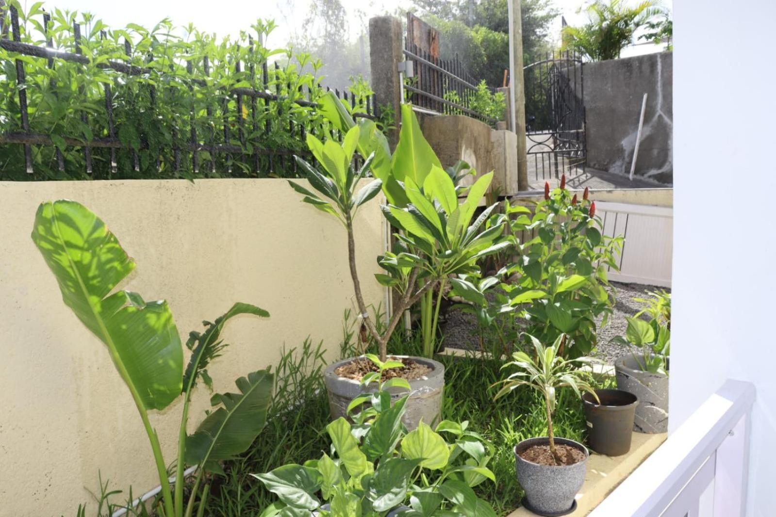 Garden Suite Trou d'Eau Douce Exterior photo